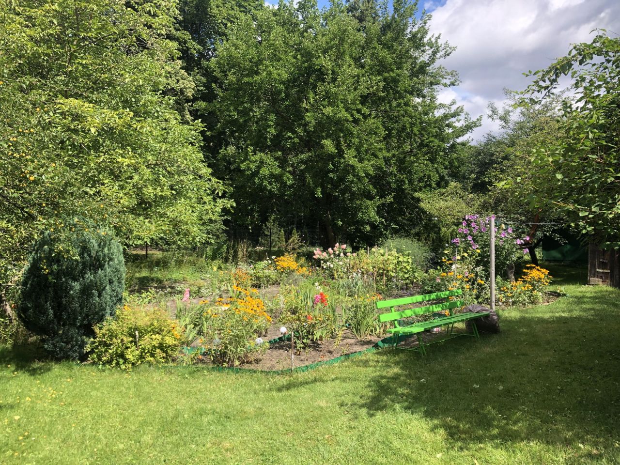 Działka inwestycyjna Puławy Las-Ruda, ul. Henryka Dąbrowskiego. Zdjęcie 6