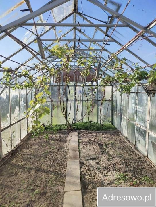 Działka rod Nysa, ul. Adama Mickiewicza. Zdjęcie 7