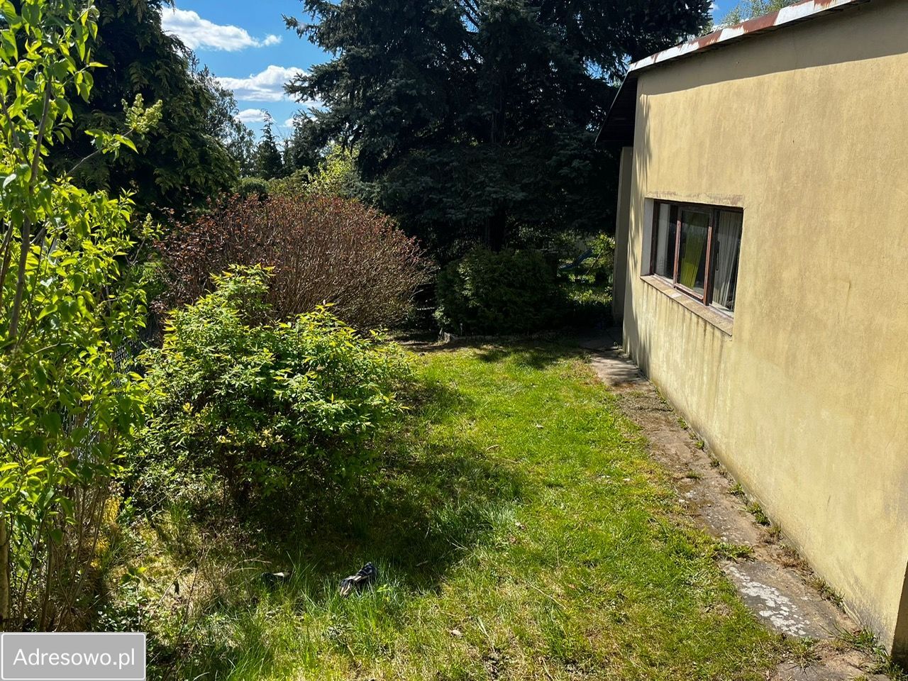 Działka rod Suchy Las. Zdjęcie 14