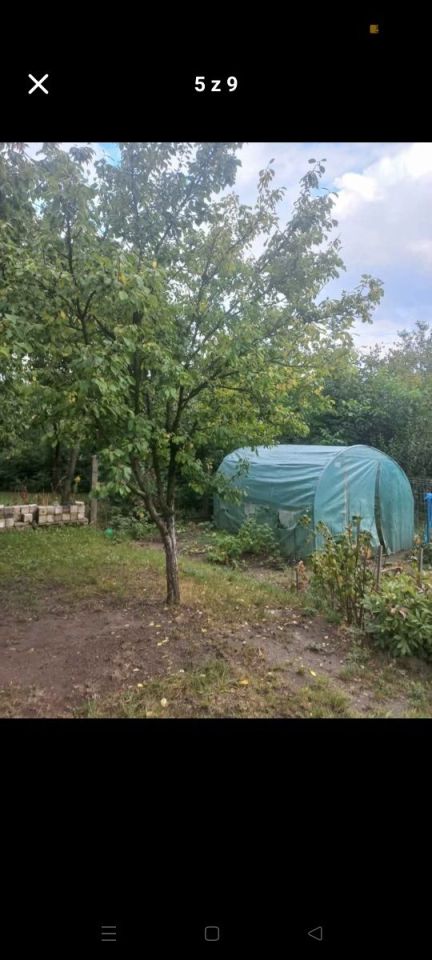 Działka rod Gorzów Wielkopolski, ul. Siewna. Zdjęcie 4