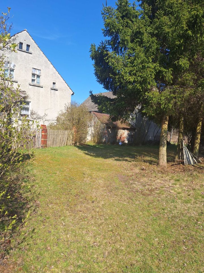 Działka rolno-budowlana Stawnik. Zdjęcie 5