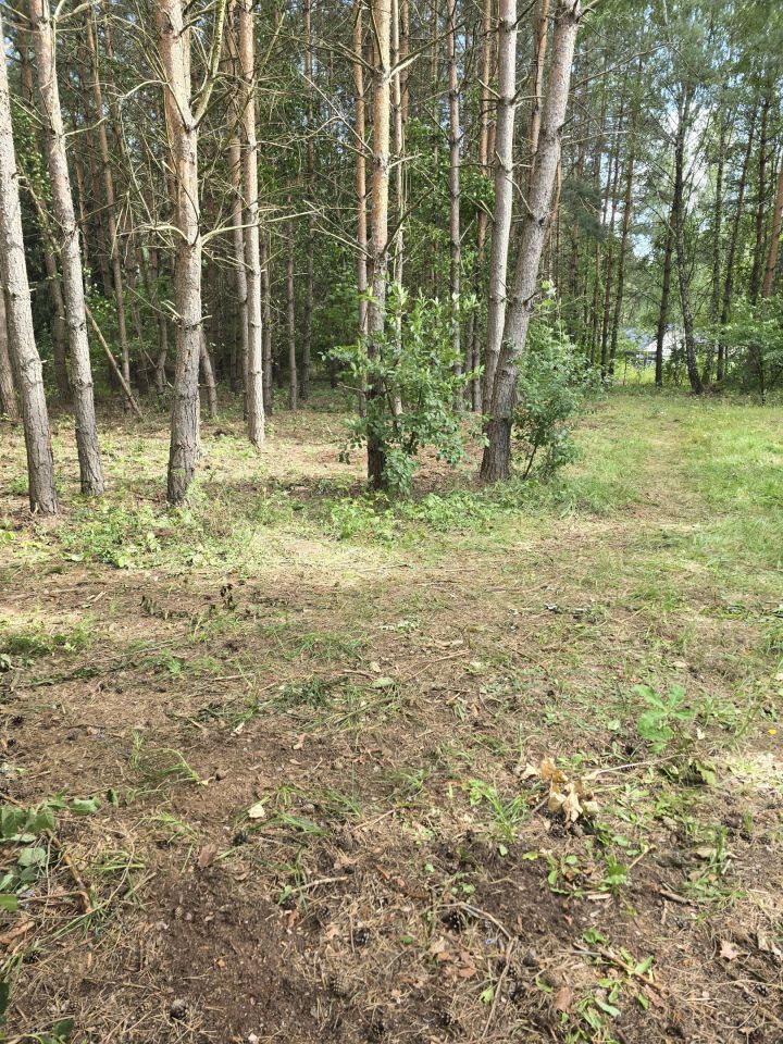 Działka budowlana Adamów-Wieś, ul. Olszowa. Zdjęcie 7