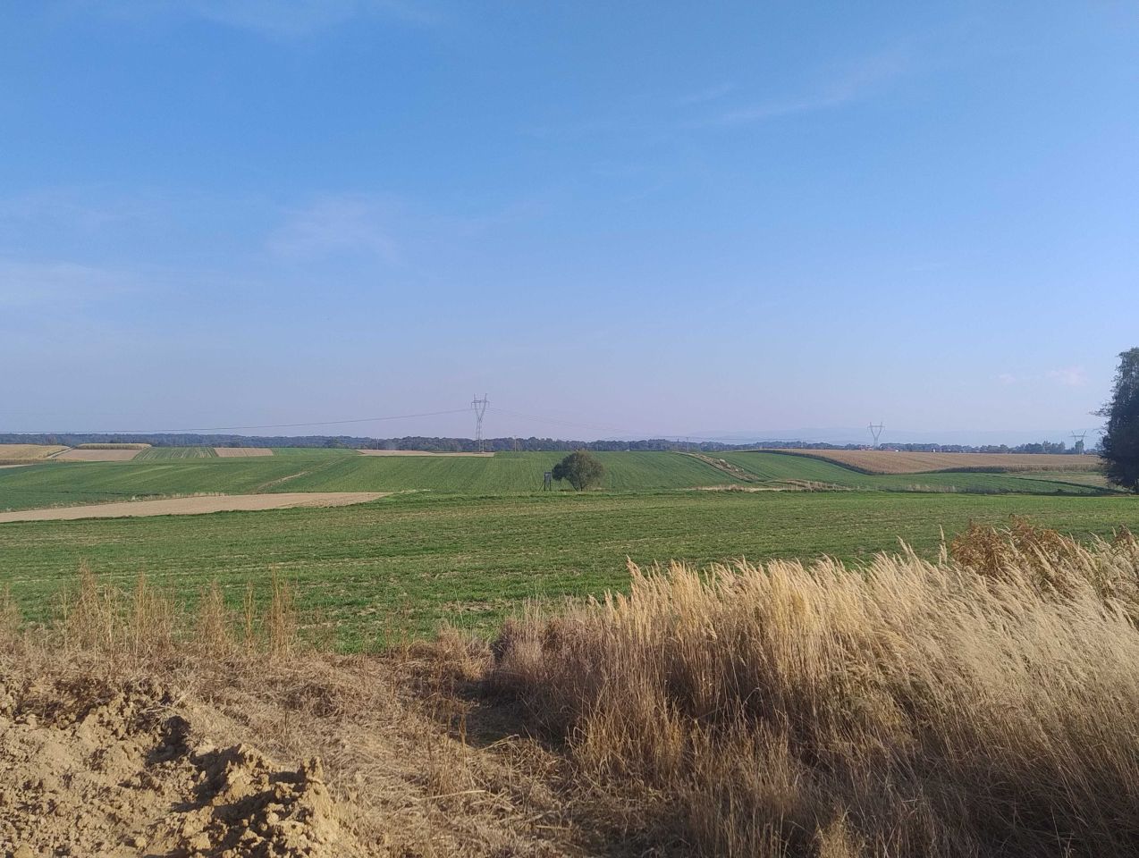 dom wolnostojący Witkowice. Zdjęcie 3