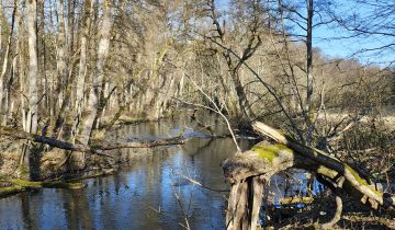 Działka budowlana Poganice
