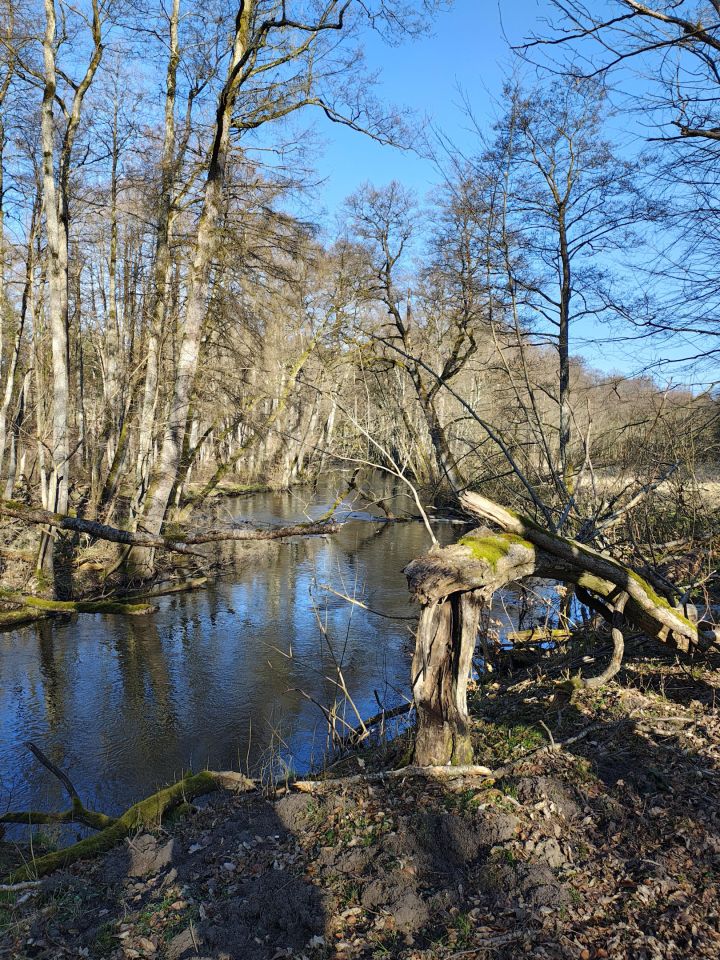Działka inwestycyjna Poganice. Zdjęcie 2