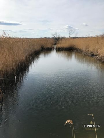 Działka inwestycyjna Dobrosławice. Zdjęcie 6