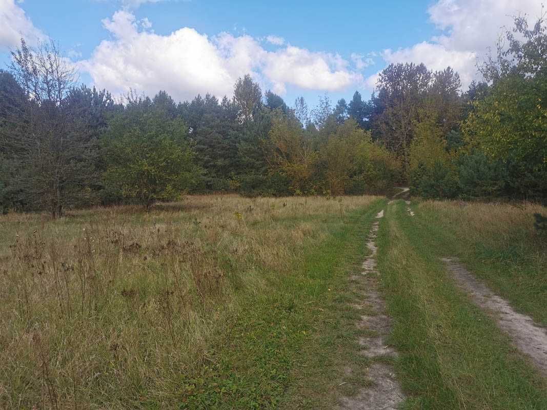 Działka rolna Włoszczowa, ul. Młynarska. Zdjęcie 6