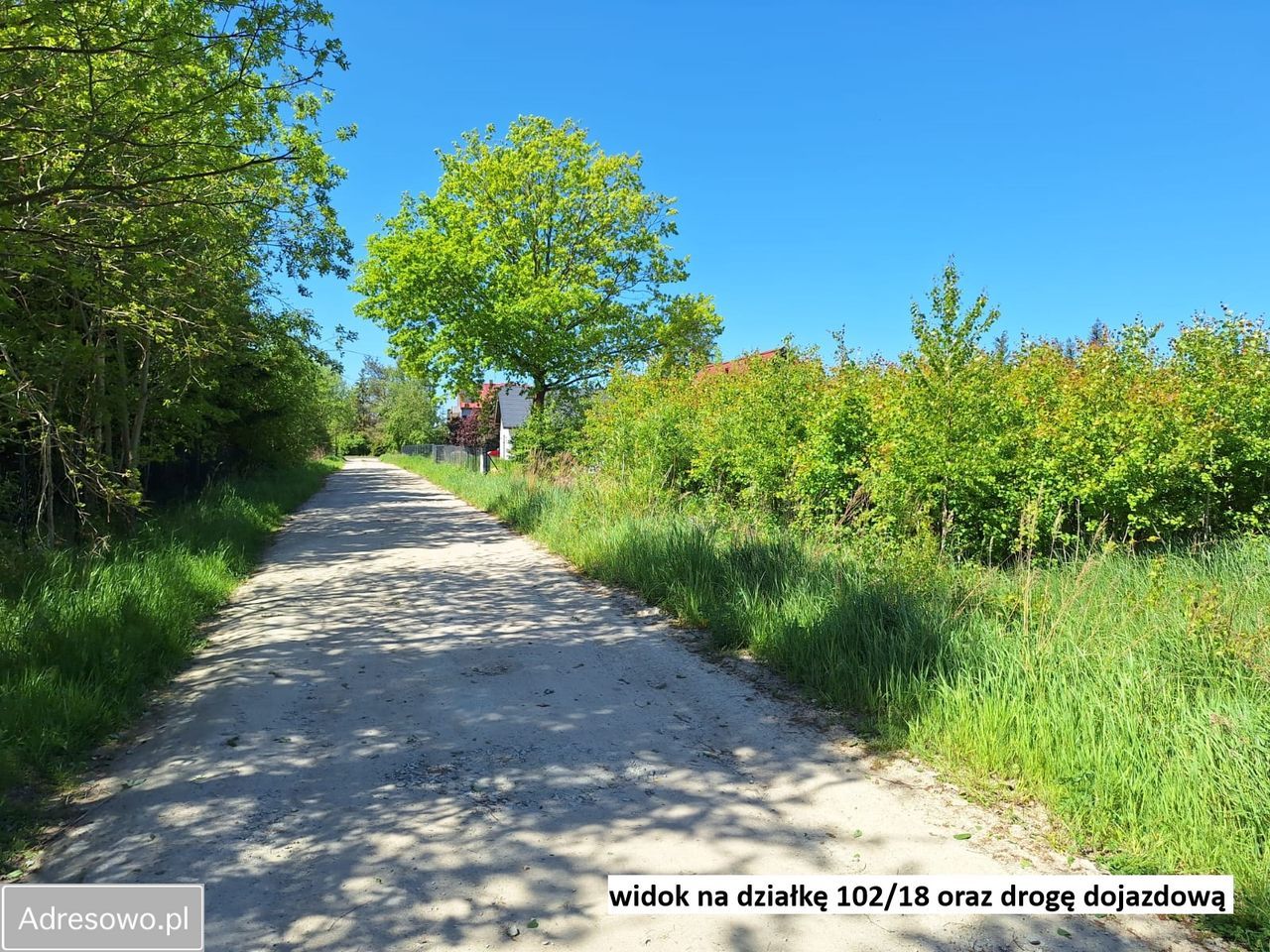 Działka budowlana Grzybowo. Zdjęcie 9