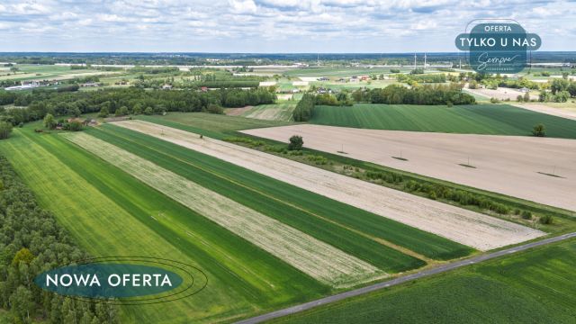 Działka rolna Przymiłów. Zdjęcie 5