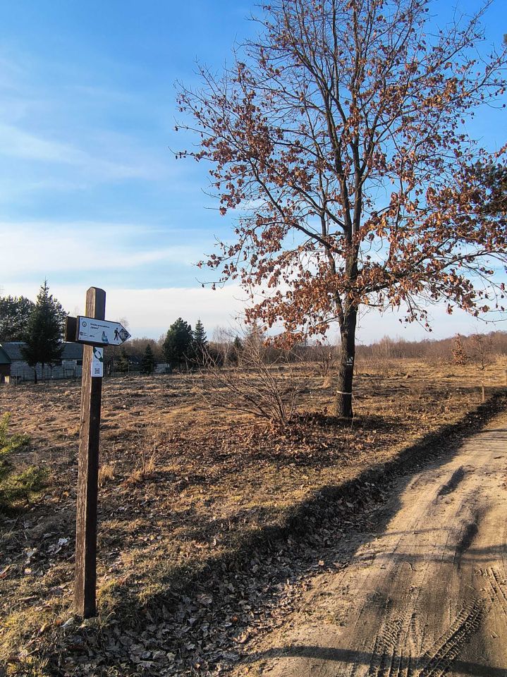 Działka rolno-budowlana Stare Załucze. Zdjęcie 3