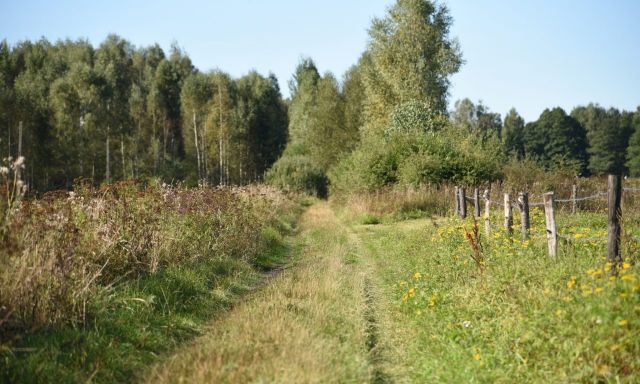 Działka rolna Piasutno. Zdjęcie 1