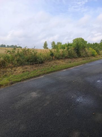 Działka rolno-budowlana Policko. Zdjęcie 3