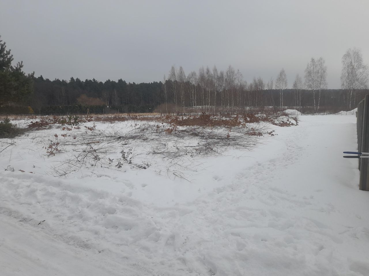 Działka budowlana Samsonów-Podlesie. Zdjęcie 4