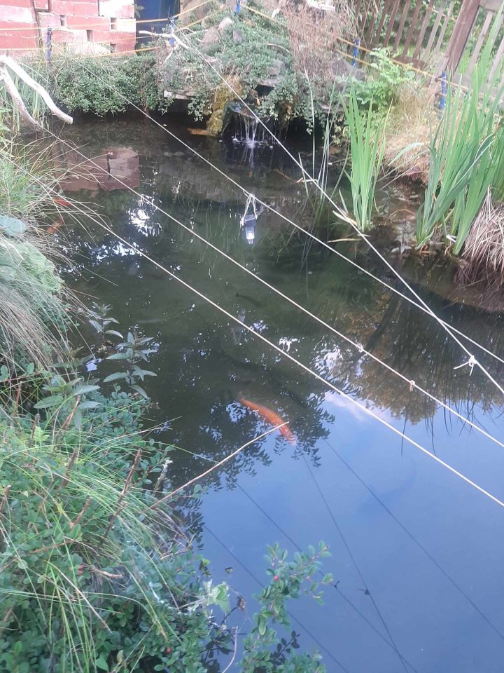 Działka rod Nowy Sącz Wólki, ul. Jadwigi Wolskiej. Zdjęcie 13