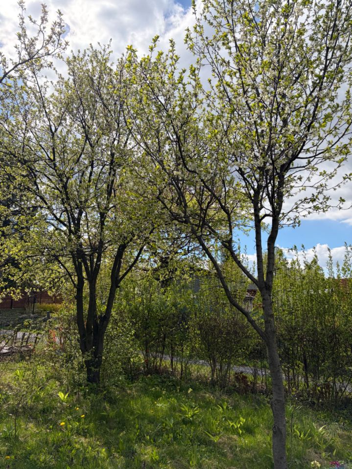 Działka rod Bielsko-Biała Lipnik. Zdjęcie 2