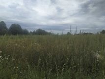 Działka budowlana Pokrzywnica, ul. Polna