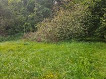 Działka budowlana Łącznica. Zdjęcie 4