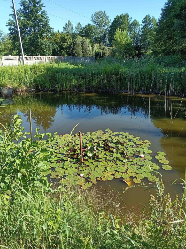 Działka budowlana Brzeźce, ul. Główna. Zdjęcie 14