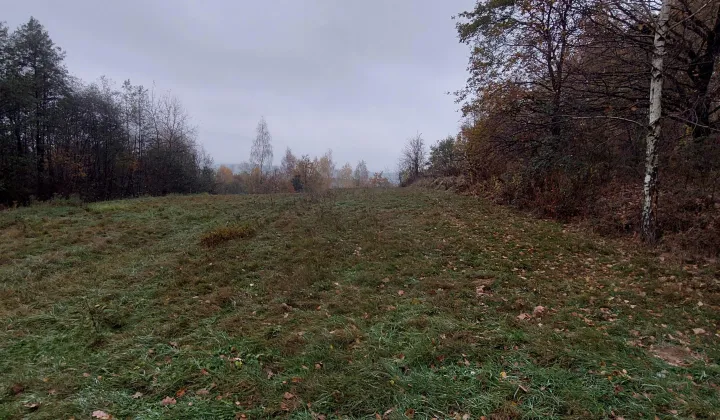Działka rolna Łapczyca Raj
