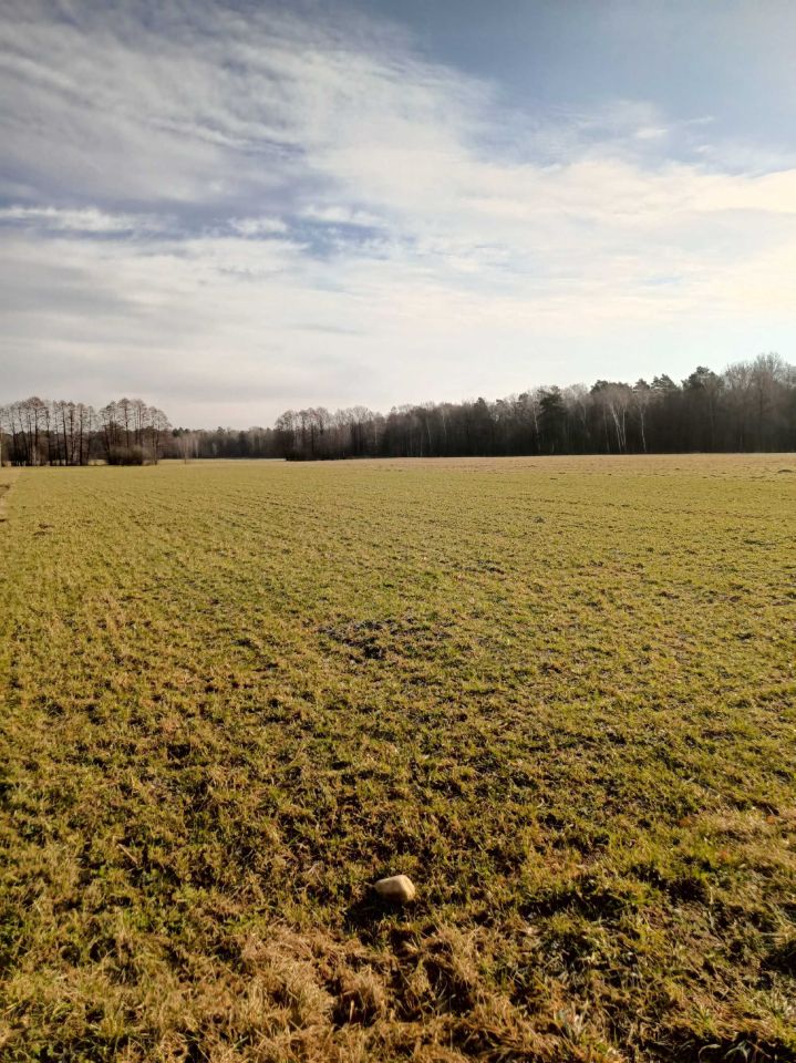 Działka budowlana Michałówka. Zdjęcie 2