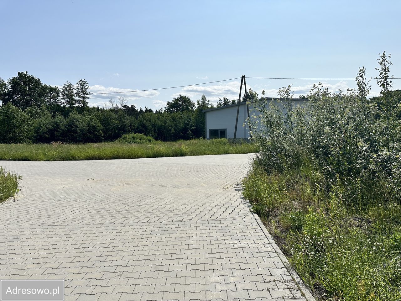 Hala/magazyn Sieniawa. Zdjęcie 7