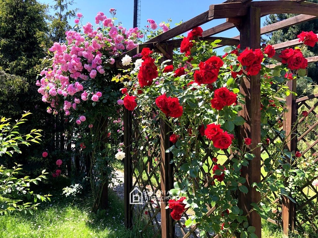 dom wolnostojący, 7 pokoi Rogowo, ul. im. Klemensa Maciaszczyka. Zdjęcie 28