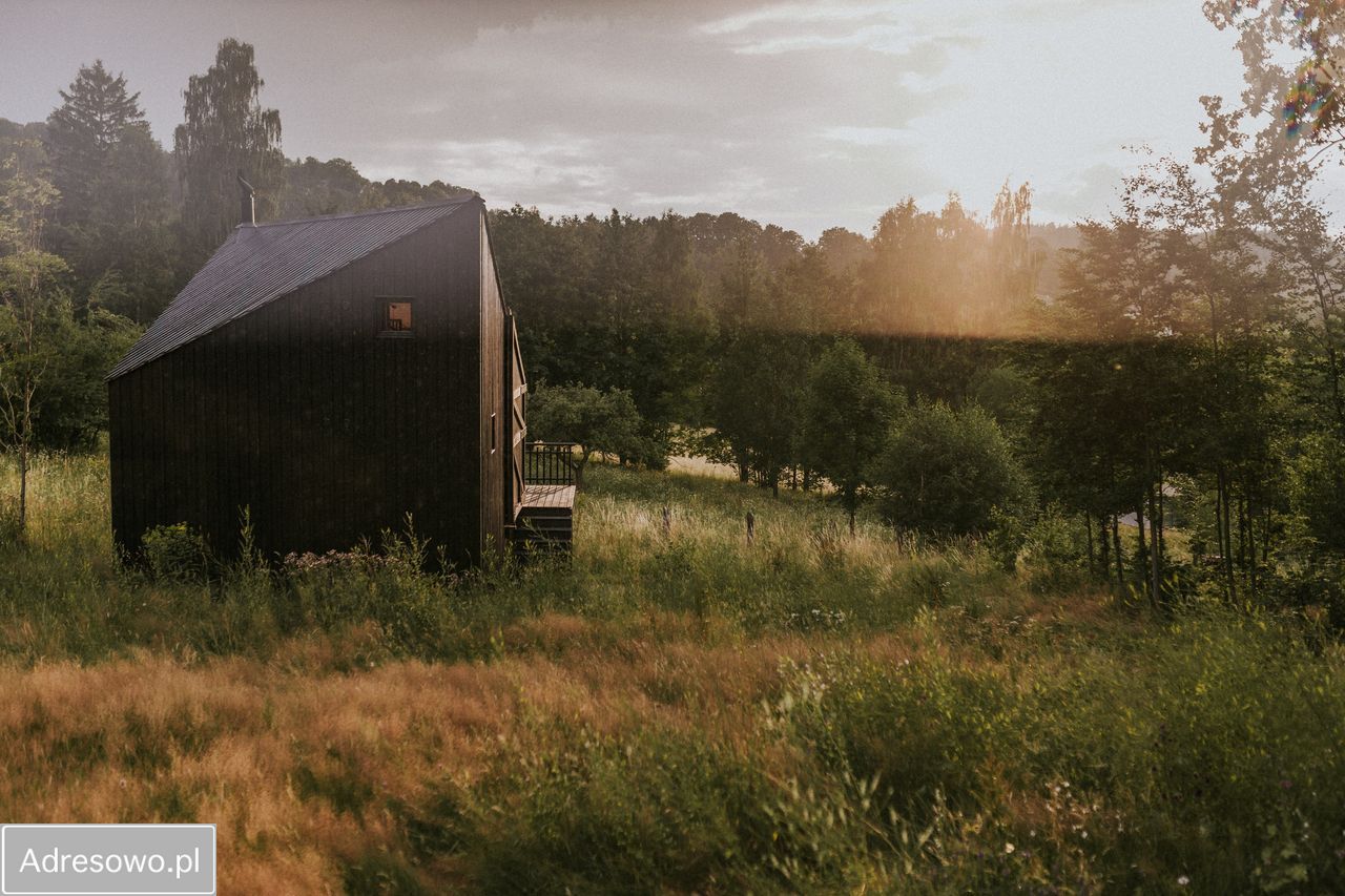 Działka inwestycyjna Przesieka, ul. Brzozowe Wzgórze. Zdjęcie 5