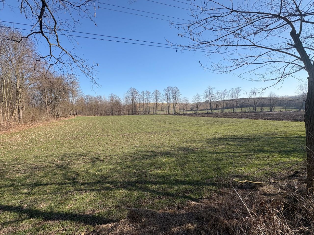 Działka rolno-budowlana Pierocice. Zdjęcie 4