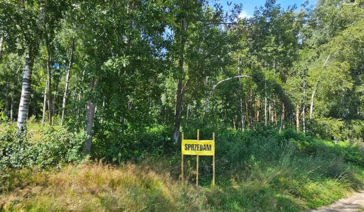 Działka siedliskowa Kleszczyniec