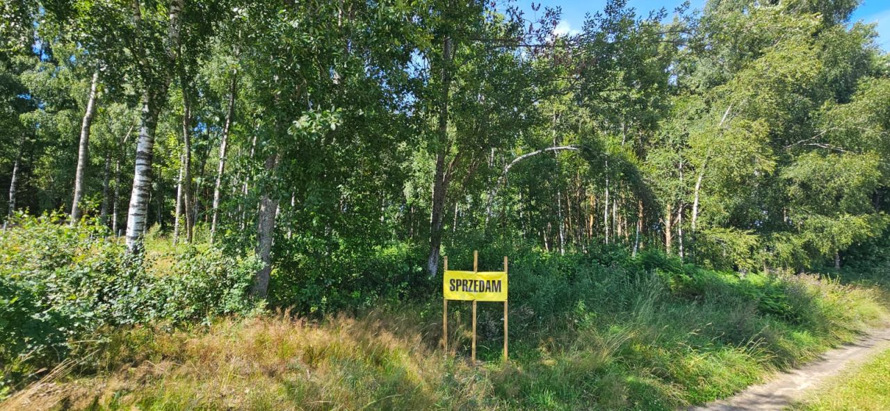 Działka siedliskowa Kleszczyniec. Zdjęcie 1