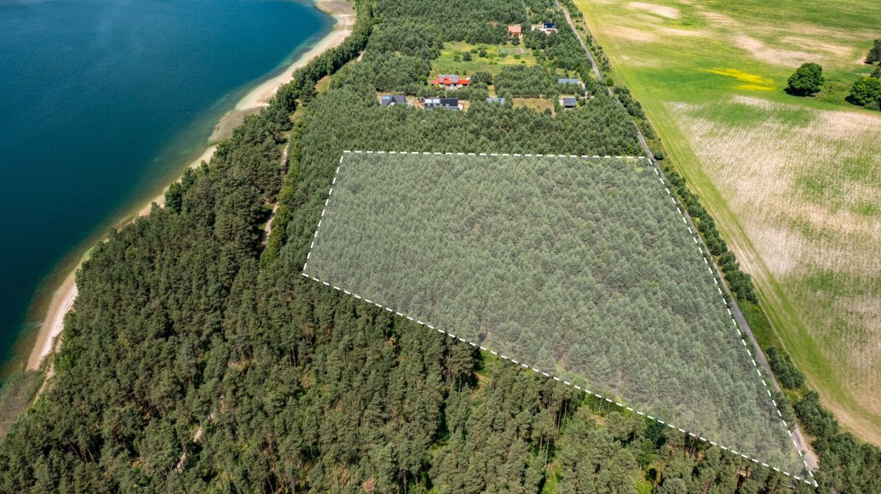 Działka inwestycyjna Koczała, Dymin. Zdjęcie 5