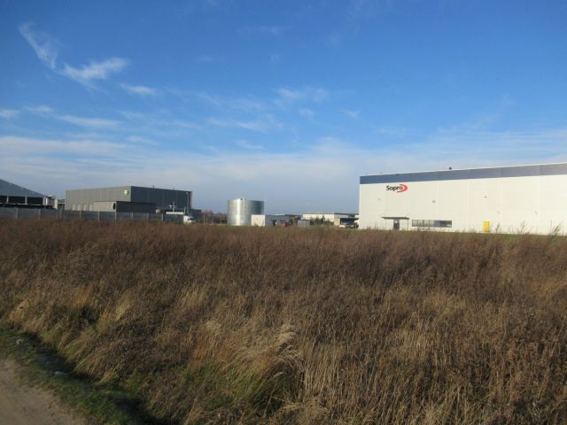 Działka inwestycyjna Wysogotowo, ul. Zbożowa. Zdjęcie 1