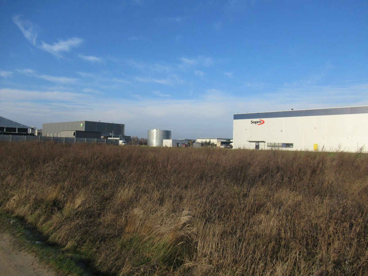 Działka inwestycyjna Wysogotowo, ul. Zbożowa