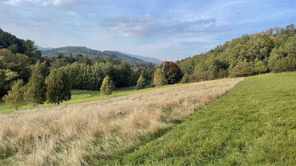 Działka rolna Błażkowa. Zdjęcie 6