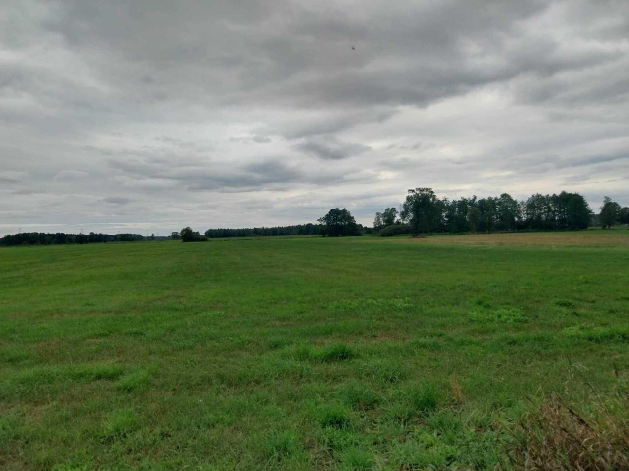 Działka rolna Latowicz. Zdjęcie 2