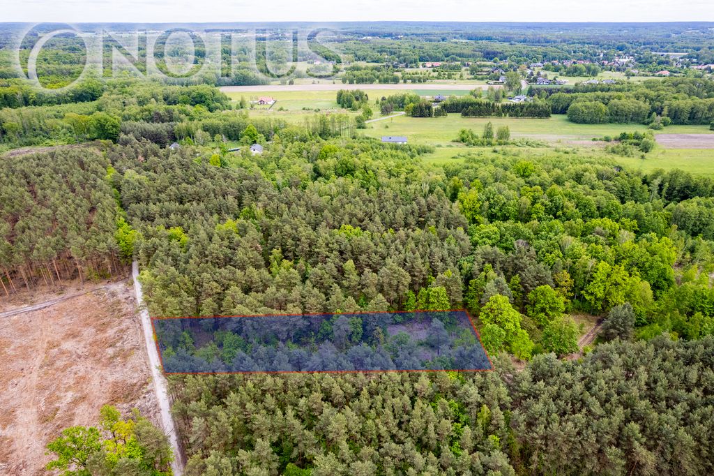 Działka budowlana Radziejowice, ul. Do Lasu. Zdjęcie 3