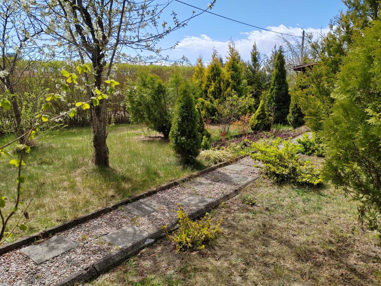 Działka rod Ciechanów. Zdjęcie 6