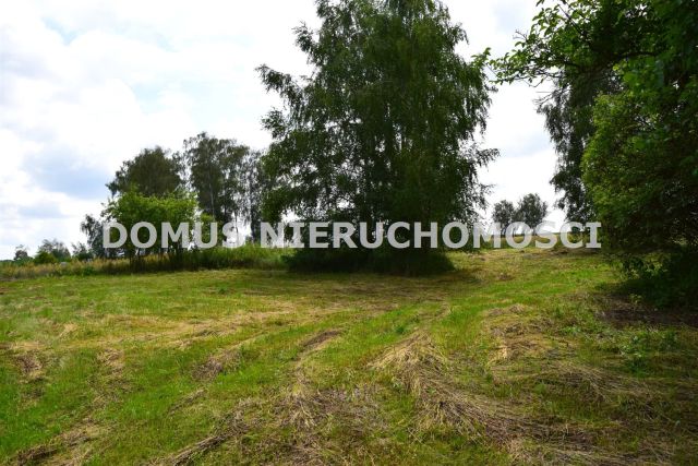 Działka budowlana Zacywilki. Zdjęcie 6