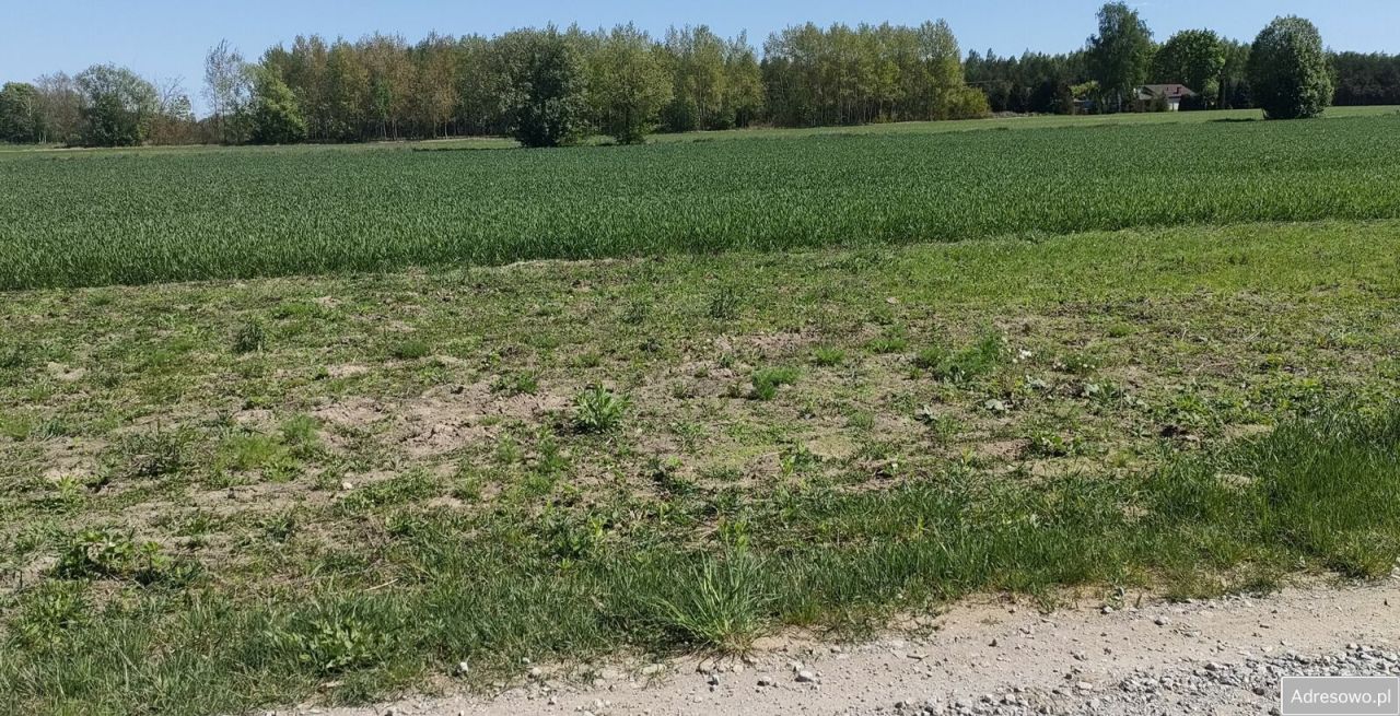 Działka budowlana Jackowo Włościańskie