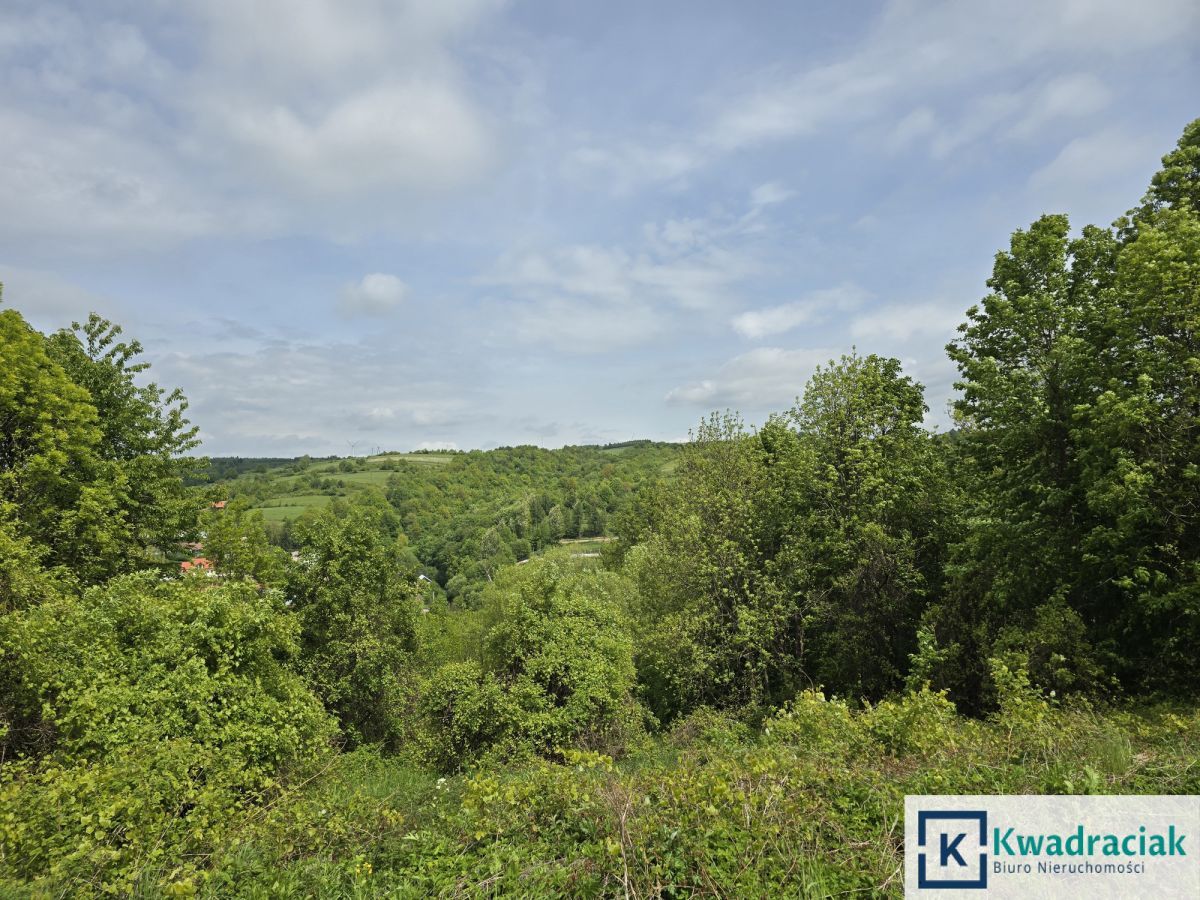 Działka rolna Golcowa. Zdjęcie 8