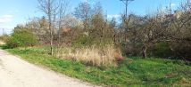 Działka rolno-budowlana Pabianice, ul. Wołyniaków. Zdjęcie 2