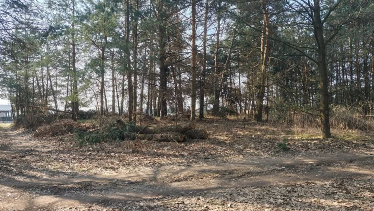 Działka siedliskowa Pogórska Wola. Zdjęcie 2
