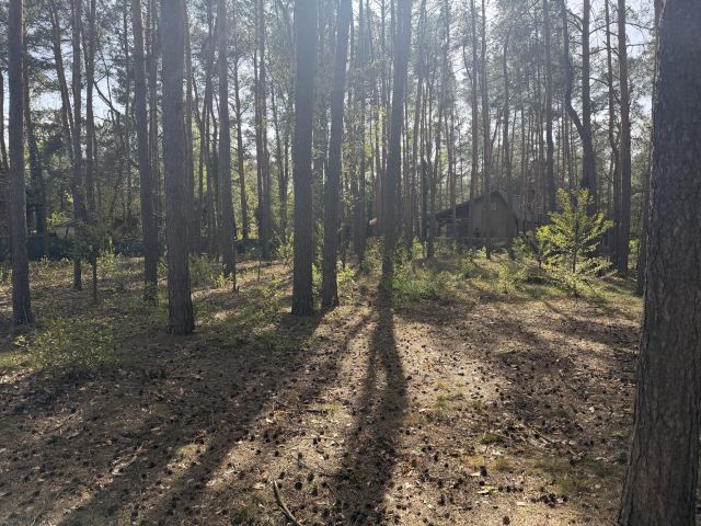 Działka budowlana Nowe Załubice, ul. Wiolinowa. Zdjęcie 7
