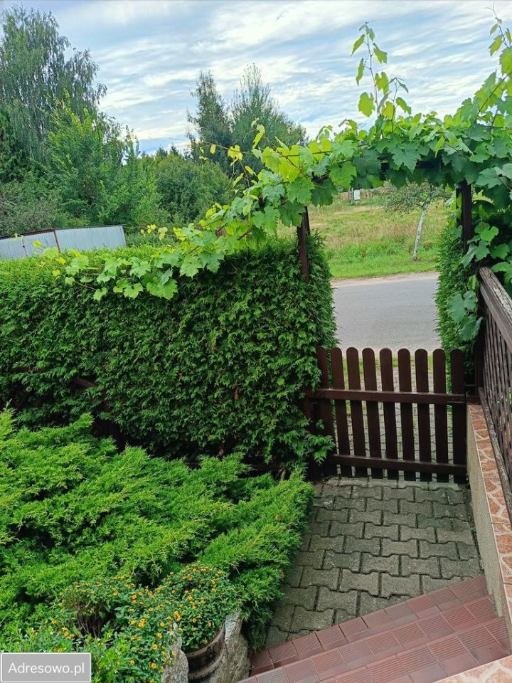 Mieszkanie 3-pokojowe Murzynowo. Zdjęcie 5