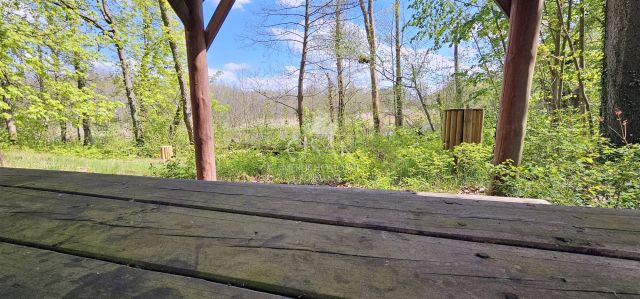 Działka Żerzyno. Zdjęcie 10