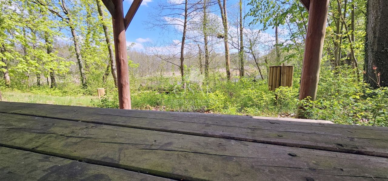 Działka Żerzyno. Zdjęcie 10