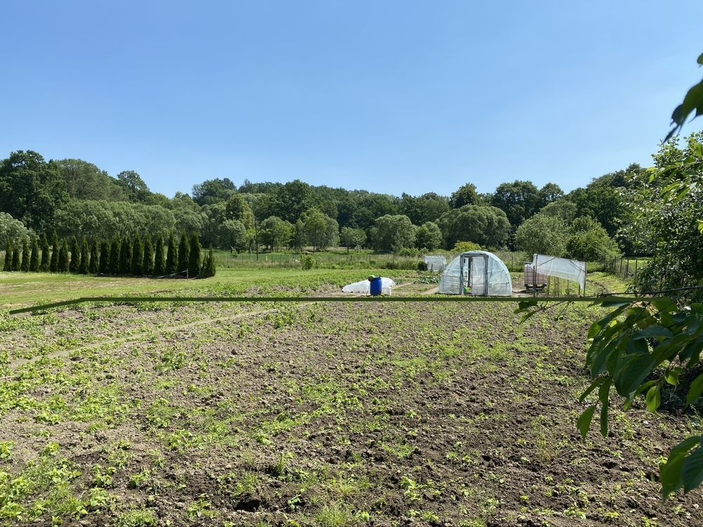 Działka budowlana Hajduki Nyskie. Zdjęcie 2