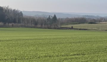 Działka rolno-budowlana Sopieszyno, ul. Lotosowa