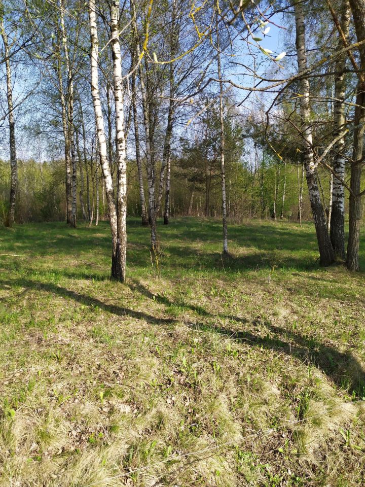 Działka rolna Użmauda. Zdjęcie 14