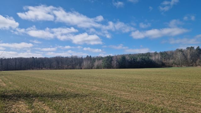 Działka budowlana Bacze Suche. Zdjęcie 1